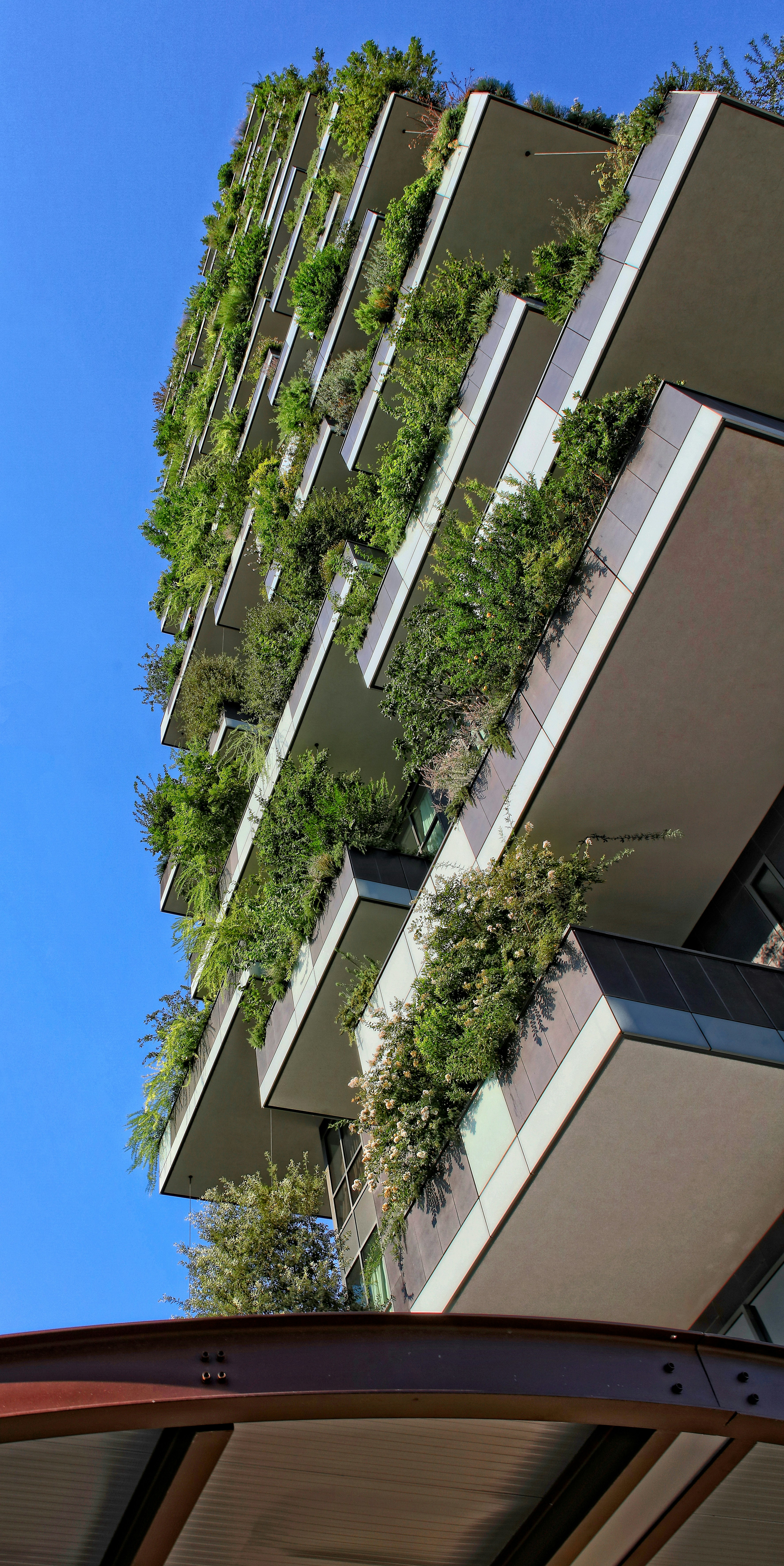 Sustainable Architecture